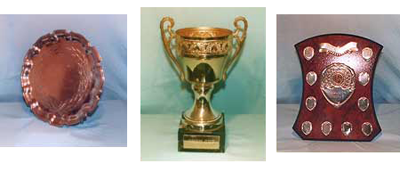 Gorrsedh Kernow Competition Prizes