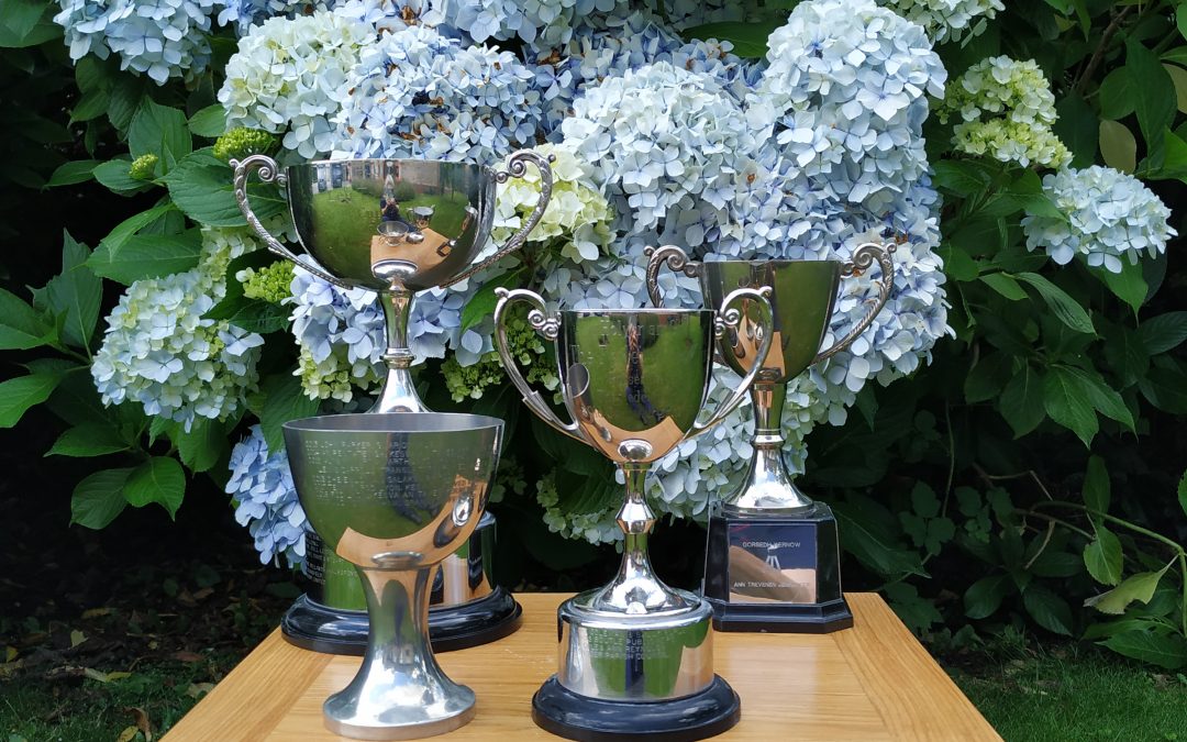 Holyer an Gof Publishers’ Awards 2022 – Guidelines for Entry